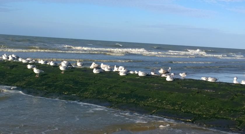 Westend Palace Middelkerke